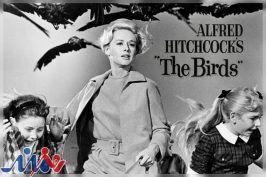 «پرندگان» هیچکاک در فیلم‌نت به مناسبت گرامیداشت ششمین دهه ساخت فیلم