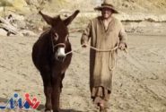 فیلم ترنس مالیک با بازی لیلا حاتمی به تدوین رسید/۳هزار ساعت فیلم